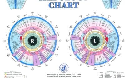 What is Iridology?