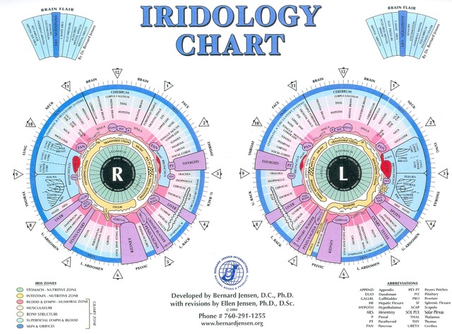 What is Iridology?