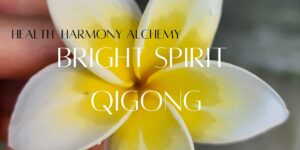 2 HOUR Qigong Flow Foundations for Winter Workshop