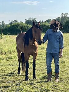 Mindfulness with Horses