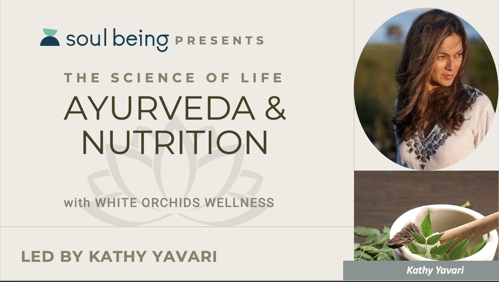 kathy yavari nutrition webinar