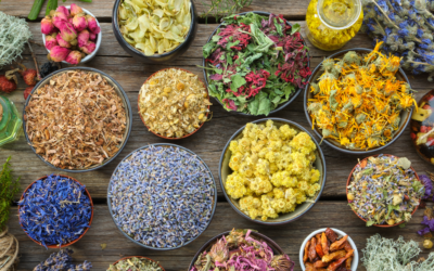 An Integrative Approach to Nutrition: Bringing Modern Science and Ayurvedic Wisdom Together