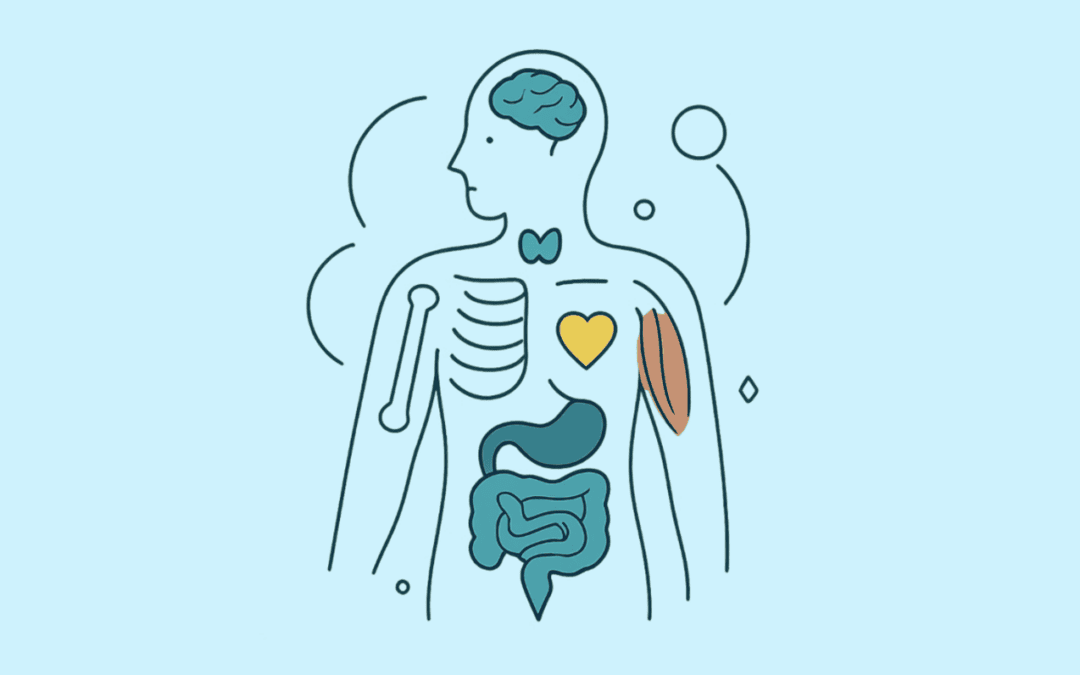 Hormone Therapy Today: What Men and Women Need to Know About It and the Future of Personalized Care