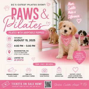 Paws & Pilates DC: MEET YOUR NEW PUPPY!