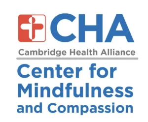 8-Week Mindfulness-Based Cognitive Therapy (MBCT) Course