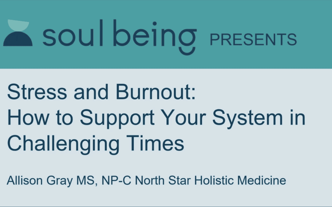 Webinar: Stress and Burnout – How to Support Your System in Challenging Times Using Functional Medicine